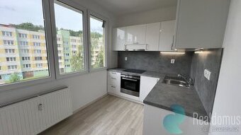 Pronájem, byt 1+1, 43 m2, sídliště Plešivec, Český Krumlov