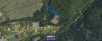 Prodej lesy, 6 823 m2 - Bělkovice-Lašťany, ev.č. OEH-P2267 - 1