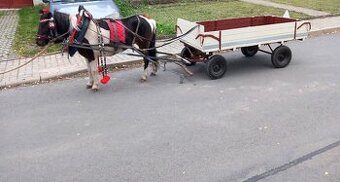 Vozik za pony