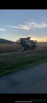 Kukuřice , zrno , drcená.