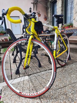 Prodám silniční kolo Fort - sleva