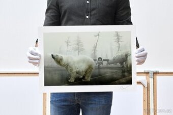 Martin Stranka Bear with me