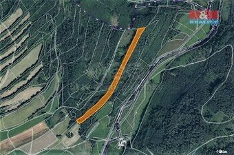 Prodej lesa, 17778 m², Odry-Kloločůvek