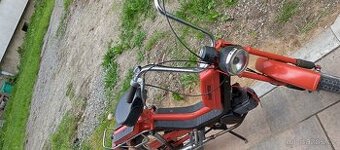 babeta 210