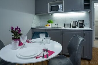 Pronájem bytu 1+kk, 37 m²-Karlovo náměstí, Praha - od - 1
