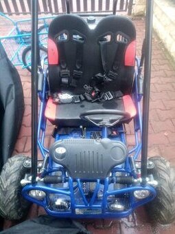 Detské buggy benzinové