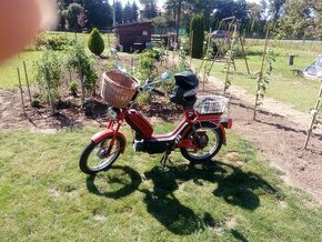 Babeta 210
