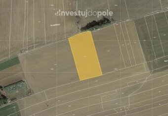 Prodej pole 9 951 m², Buřenice, ev.č. 2025-02-14-1