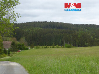 Prodej lesa, 26000 m², Vysoká Srbská, okres Náchod