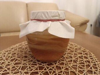 Kombucha