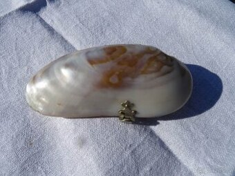 Starožítná etui z lastury.