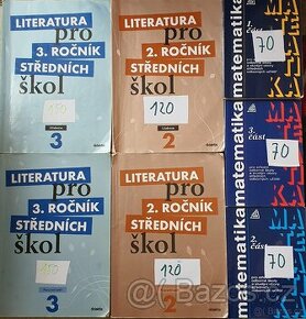 Literatura pro 2. a 3. Ročník středních škol a matematika