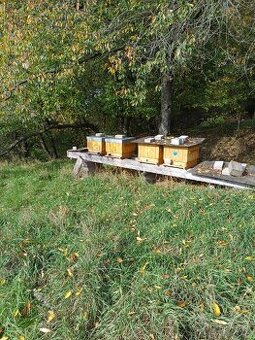 Vyzimované oddělky