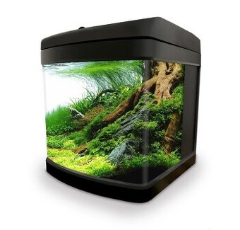 Prodám malé akvarium Invital s vybavením