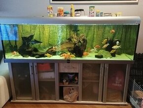 SLEVA Akvarijní set DIVERSA MODERN 720l