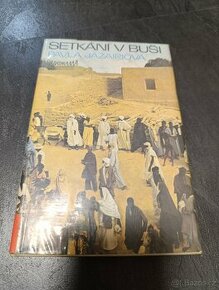 Setkání v buši - Pavla Jazairiová