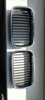 Ledvinky na BMW