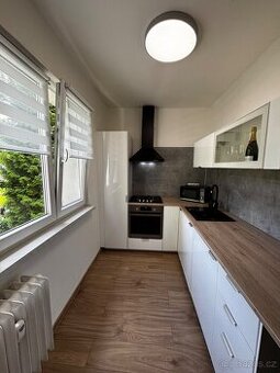 BYT 2+1 S VELKOU ZASKLENOU LODŽIÍ - OSOBNÍ VLASTNICTVÍ