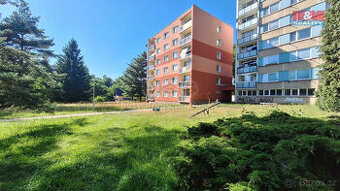 Prodej bytu 1+kk, 19 m², Nový Bor, ul. Sadová