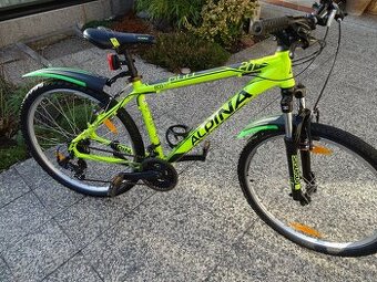 Juniorské kolo 26" Alpina Eco