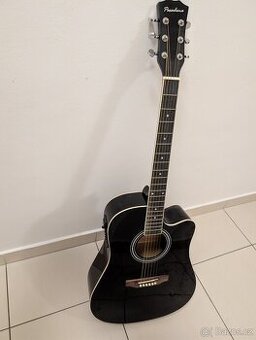 Elektroakustická kytara Pasadena