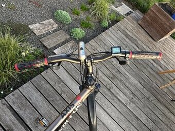 Kolo Kellys Axis