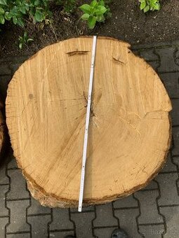 Dubová kruhová deska, příčný řez, průměr 100cm - 1