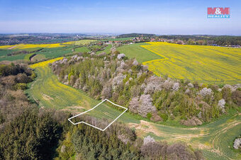 Prodej louky, 4006 m², Klokočná - 1