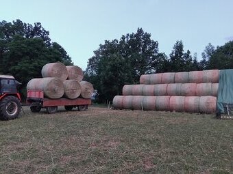 Seno BIO