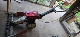 Tera vari - 1