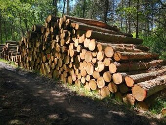 Dubová a jasanová kulatina