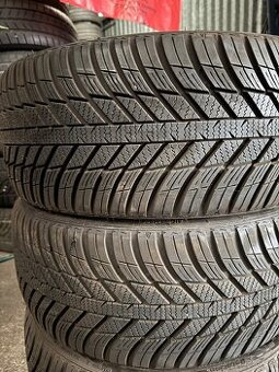 Zimní pneumatiky NEXEN 225/40/18 92V