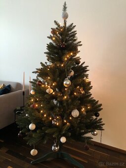 Vánoční stromeček- smrk