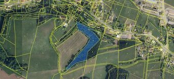 Prodám lesní pozemek v k.ú. Bukovina u Čisté