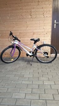 Dívčí kolo Leather Fox 24