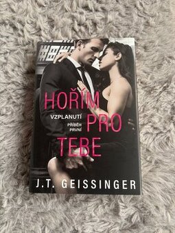 Hořím pro tebe - J. T. Geissinger