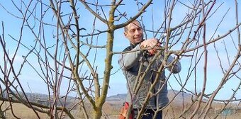 Odborný řez ovocných stromů – jižní Čechy