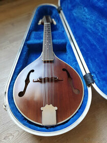 Celomasivní mandolína FURCH model A, snímač, pevný kufr