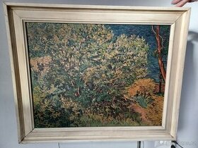 Vincent van Gogh - Šeříkový keř