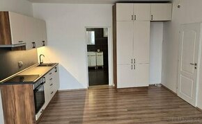 Byt 1+kk o rozloze 38 m² - cihlový dům v Mimoni