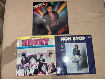8lp +8sp vinyl Kroky Michal David cena za 8lp+8sp