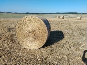 Sláma ječná - balíky 150cm