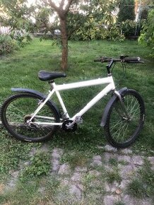 Kolo 24"-26"