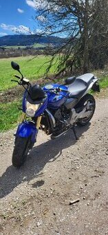 Honda Hornet CB600F
