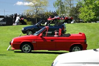 Škoda Favorit / MTX 7-06 Roadster, r.v.: 1993