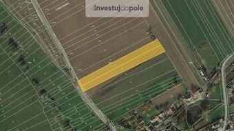 Prodej pole v k.ú. Předín