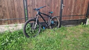 dartmoor Hornet 2012 Mini Mullet