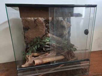 Terarium pro ještěry