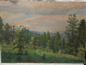 obraz krajina - olej na kartonu, signováno Volkov