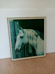 Obraz s kladrubákem